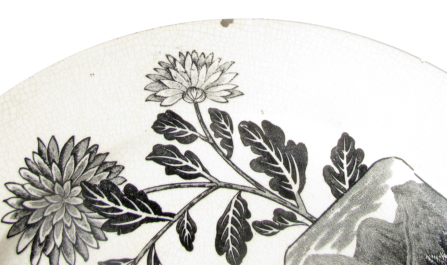 1881 English Aesthetic Movement Staffordshire Transferware Collection, 39 Pieces