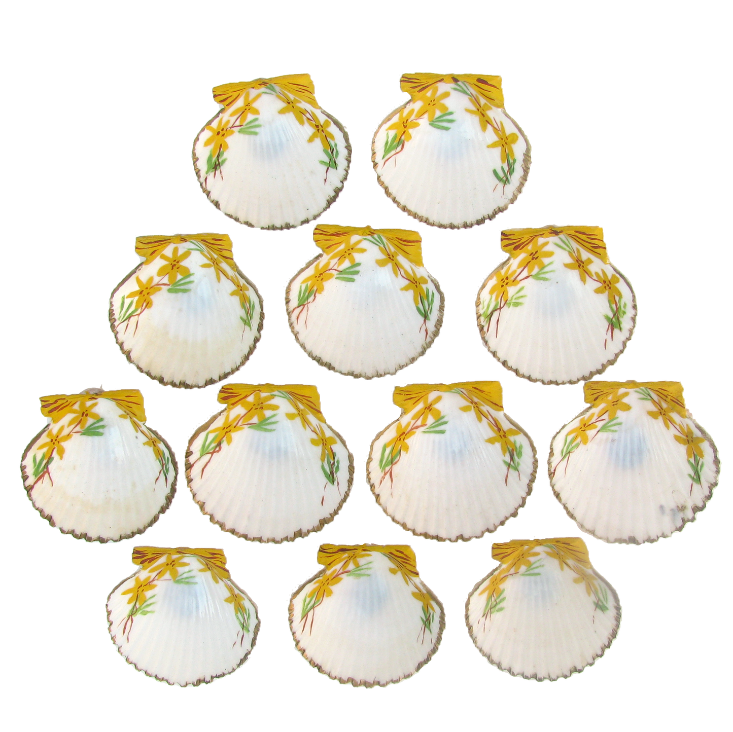 Hand-Painted Natural Shell Butter Pats / Salt Cellars, Set of 12