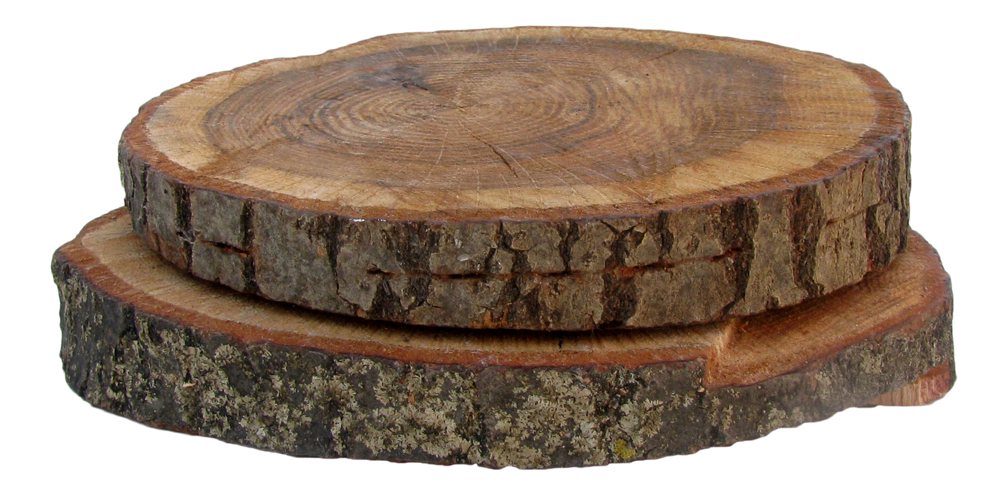 Organic Farmhouse Chic Wood Plateaus, Pair