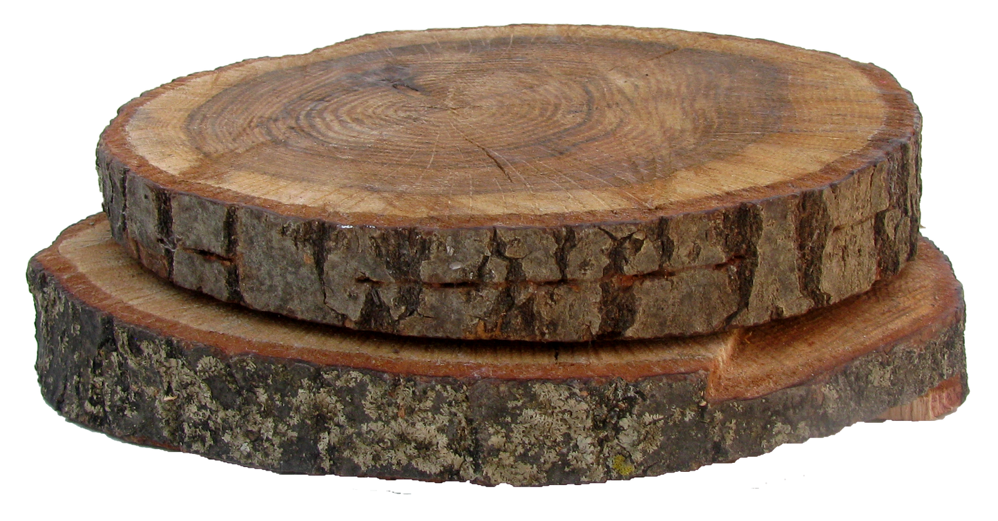 Organic Farmhouse Chic Wood Plateaus, Pair