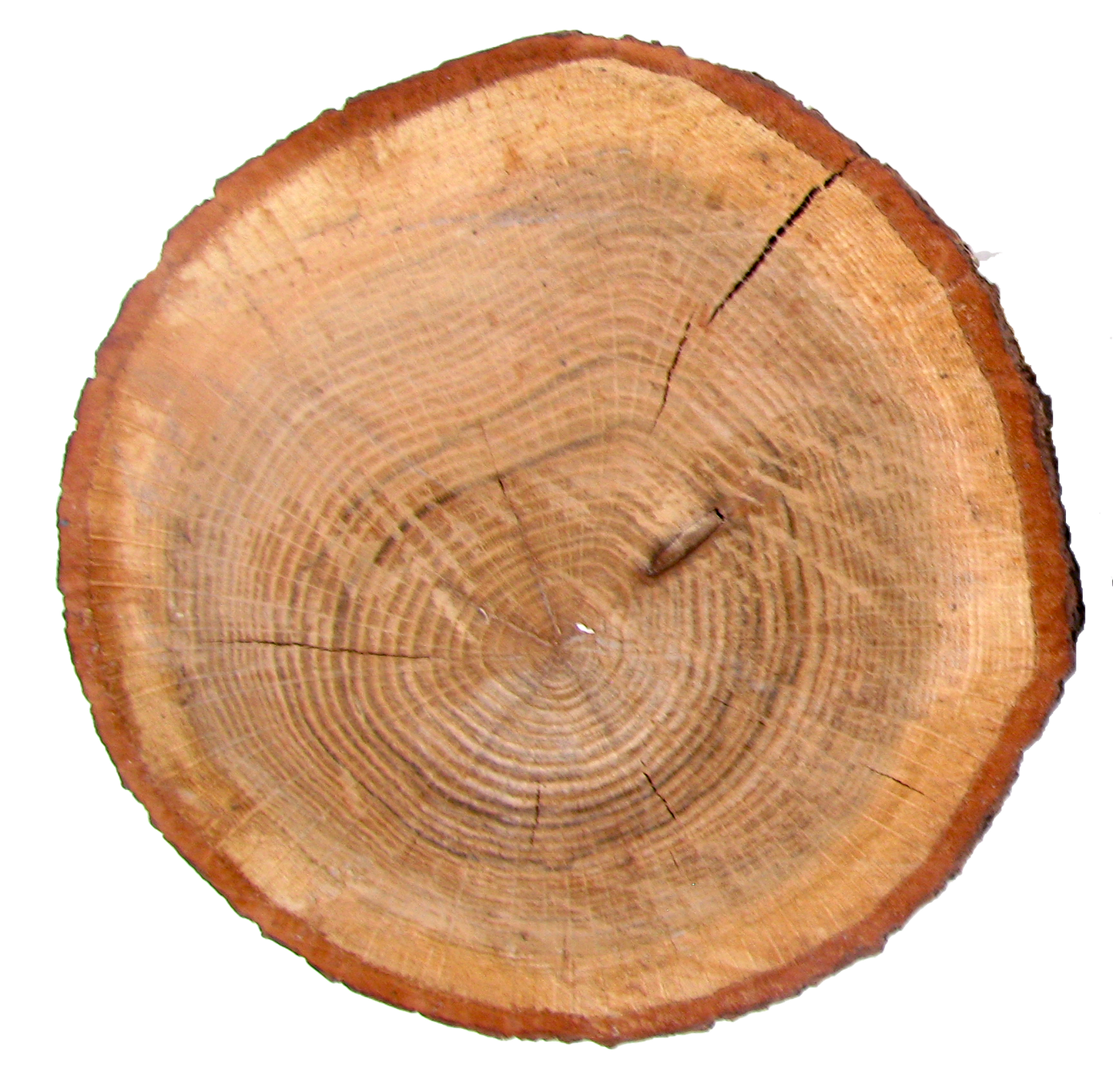 Organic Farmhouse Chic Wood Plateaus, Pair