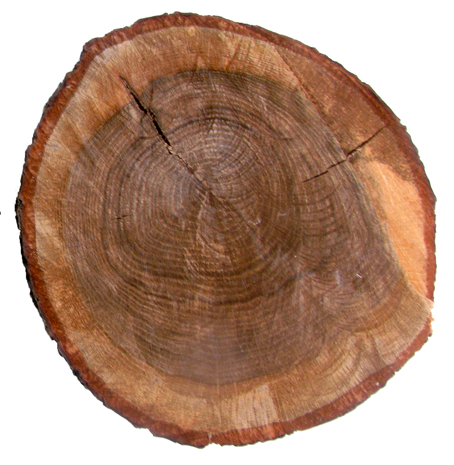 Organic Farmhouse Chic Wood Plateaus, Pair