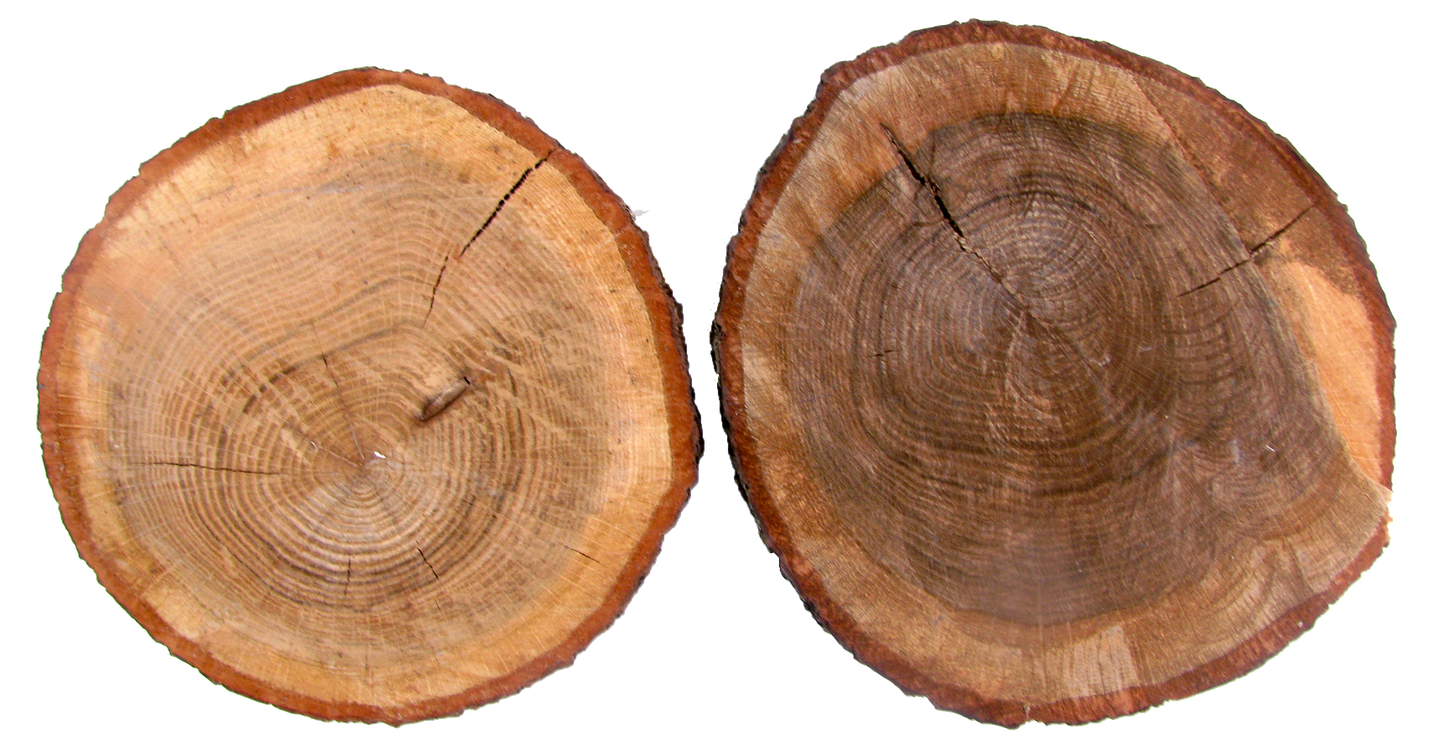 Organic Farmhouse Chic Wood Plateaus, Pair