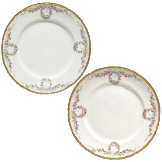 Gilt Haviland Limoges Plates - a Pair