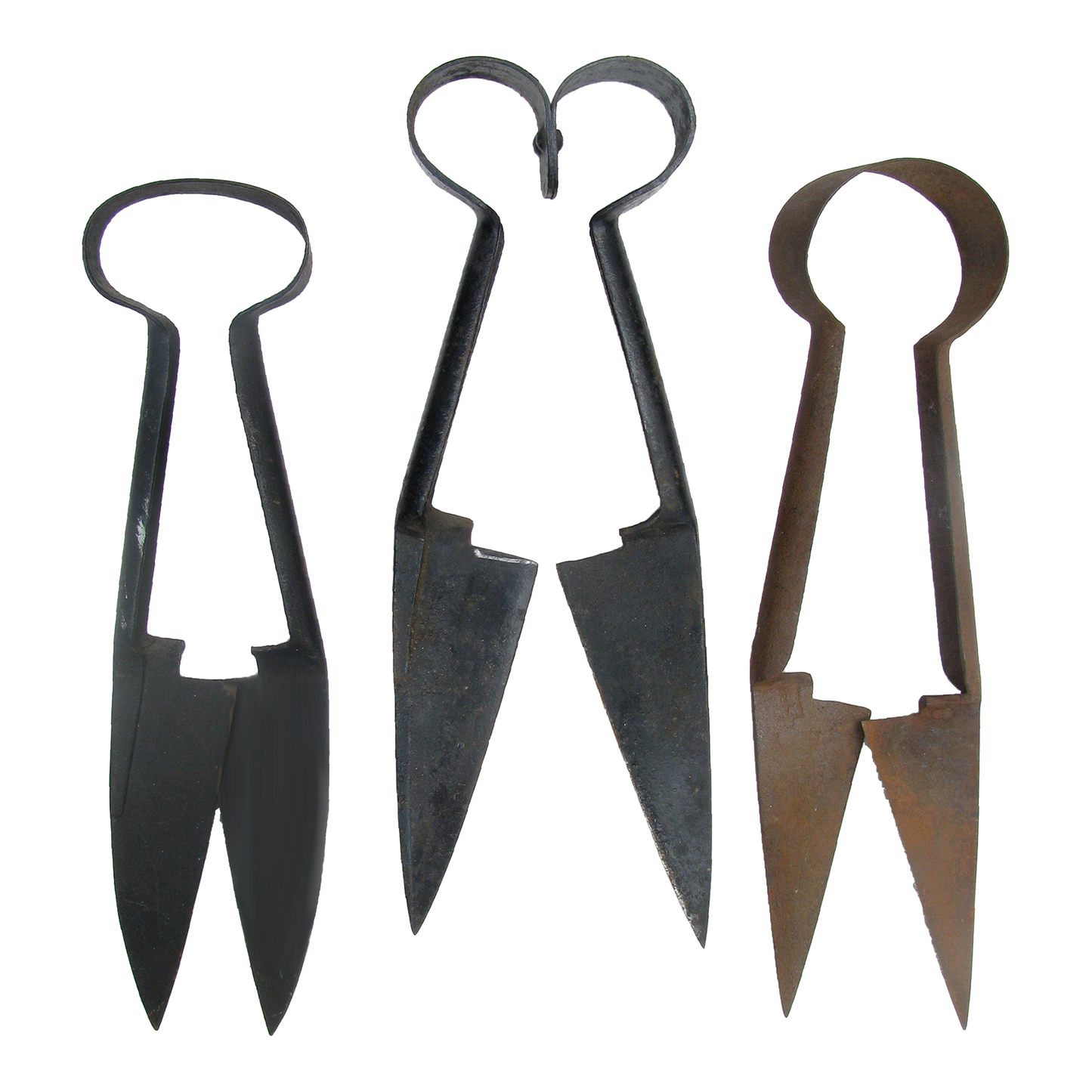 Early 20thC English Sheep Shears