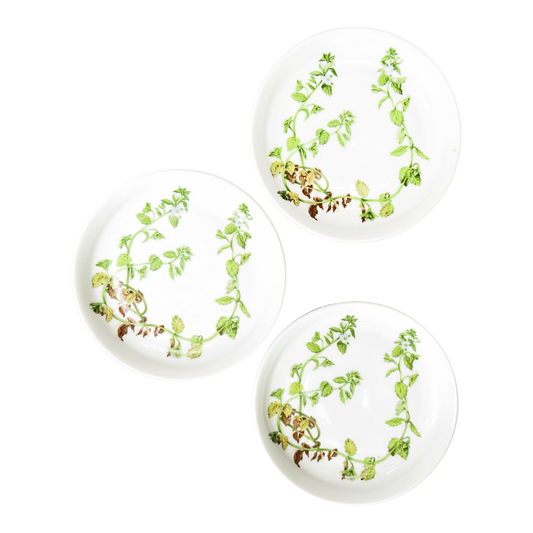 Porcelaine De Paris White & Green Botanical Plates, Set of 3